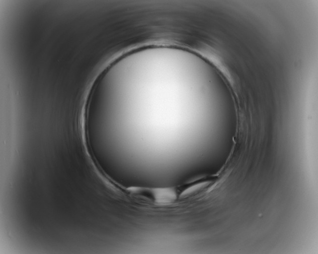 X0000088171343200705291924