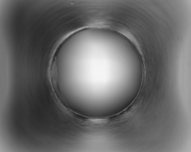 X0000088171344200705291924