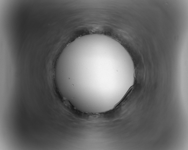 X0000088171345200705291923