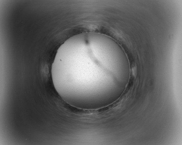 X0000088171347200705291923