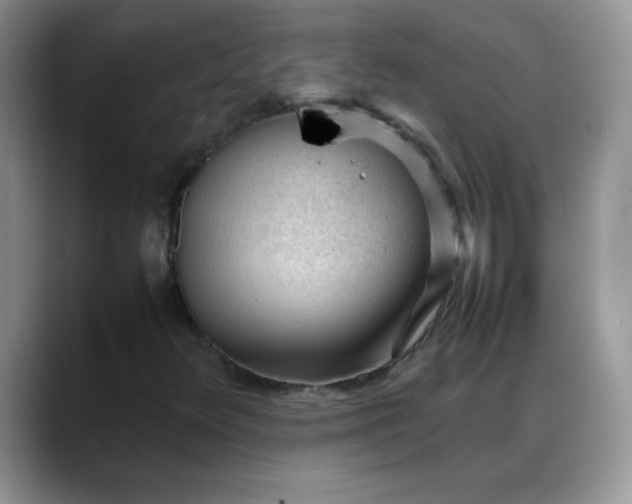 X0000088171348200705291923