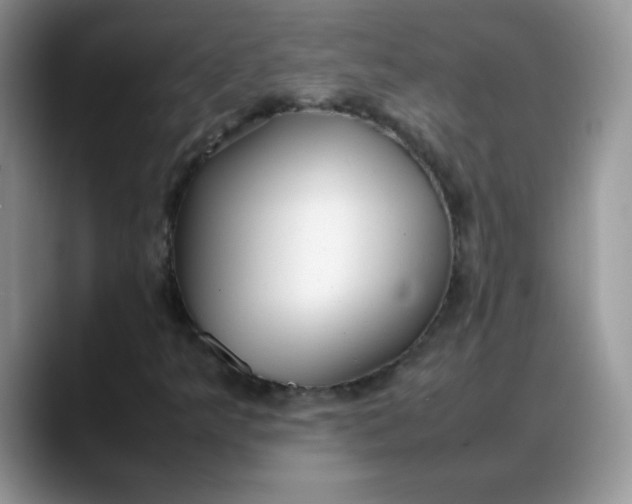 X0000088171349200705291923