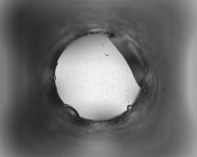 X0000088171351200705291923