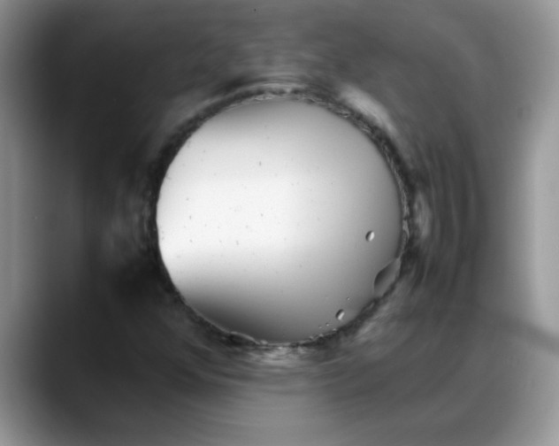 X0000088171352200705291923