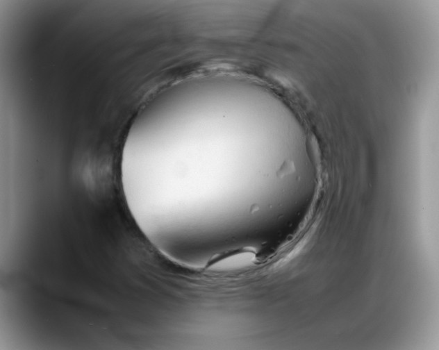 X0000088171353200705291923