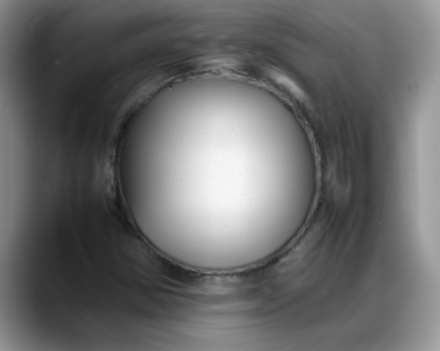 X0000088171354200705291923