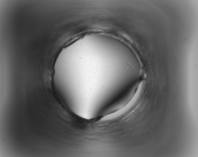 X0000088171355200705291923