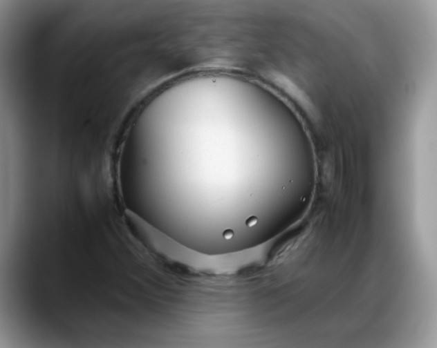 X0000088171356200705291923