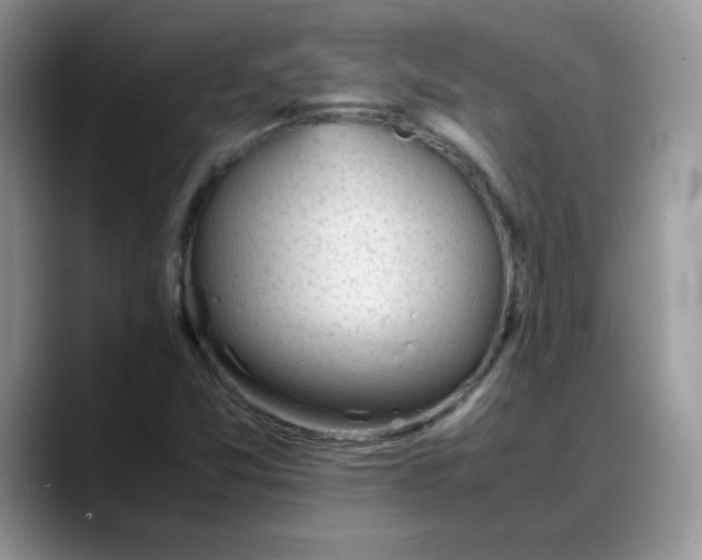 X0000088171357200705291923