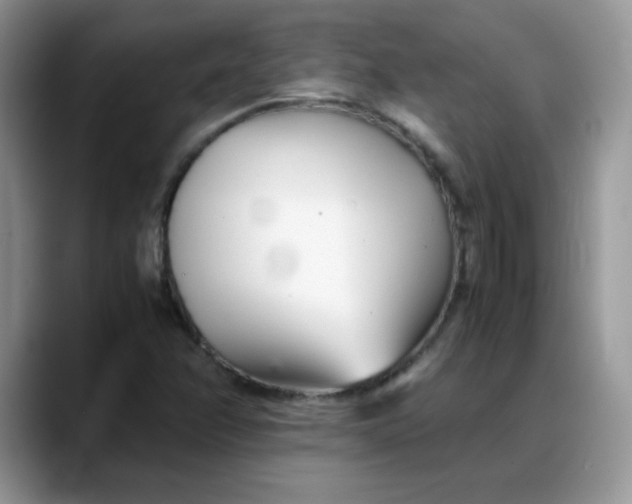 X0000088171358200705291923