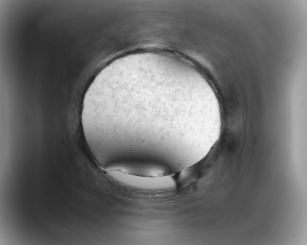 X0000088171359200705291923