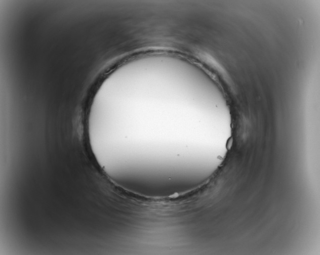 X0000088171360200705291923