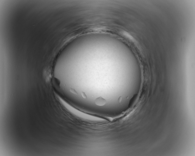 X0000088171361200705291923