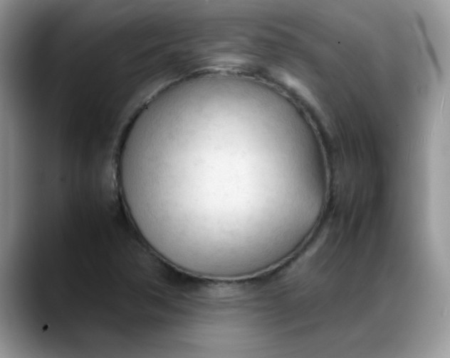 X0000088171362200705291923