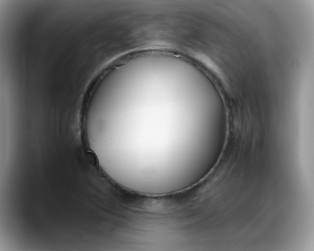 X0000088171364200705291923