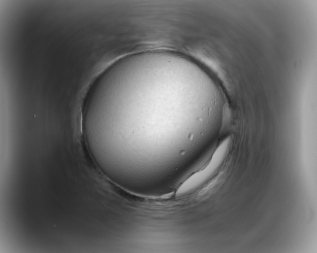 X0000088171365200705291923