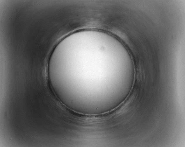 X0000088171366200705291923