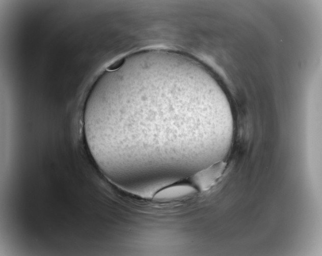 X0000088171367200705291923