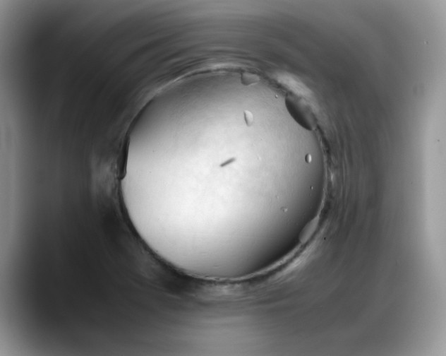 X0000088171369200705291923