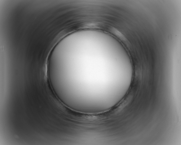 X0000088171370200705291923