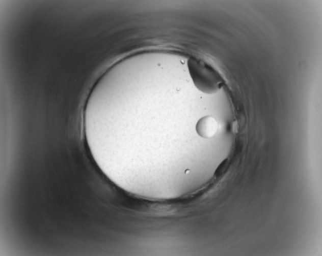 X0000088171371200705291923