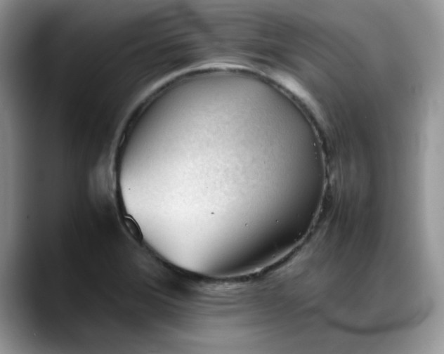 X0000088171372200705291923