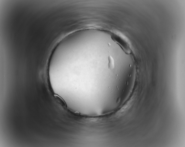 X0000088171373200705291923