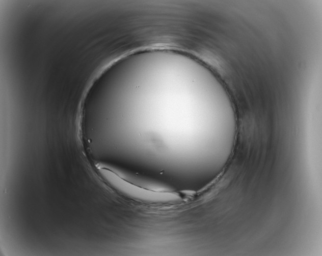 X0000088171374200705291923