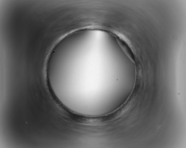 X0000088171375200705291923