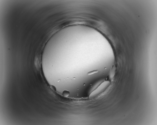 X0000088171377200705291923