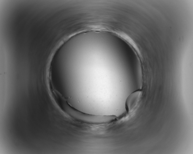 X0000088171381200705291923