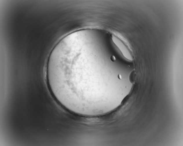 X0000088171383200705291923