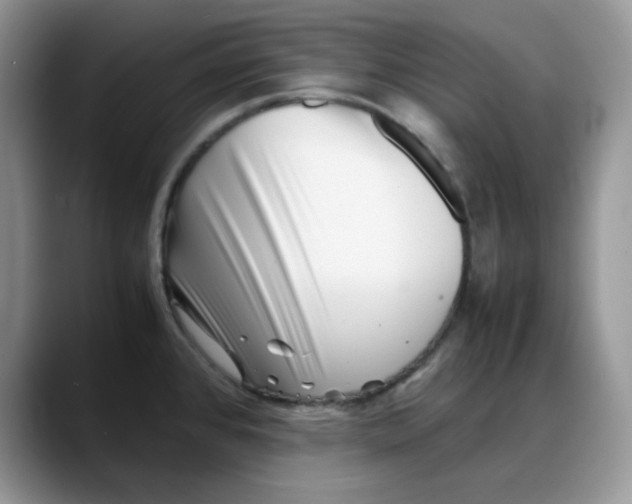 X0000088171384200705291923