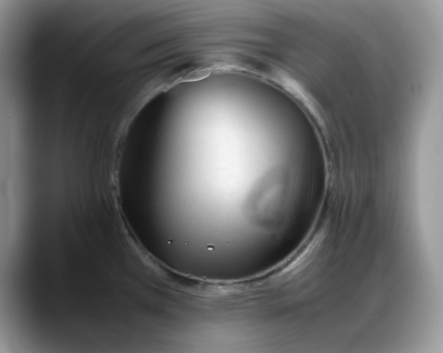 X0000088171385200705291923