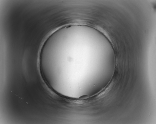 X0000088171387200705291923