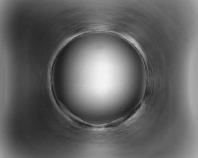 X0000088171389200705291923