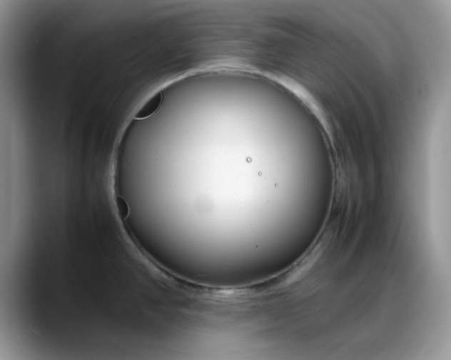 X0000088171390200705291923