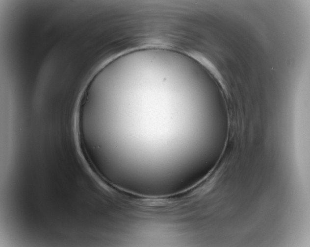 X0000088171391200705291923