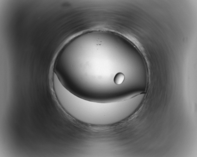 X0000088171392200705291923