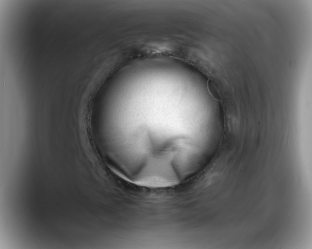 X0000088171393200705291922