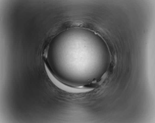 X0000088171394200705291922