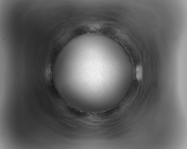 X0000088171395200705291922