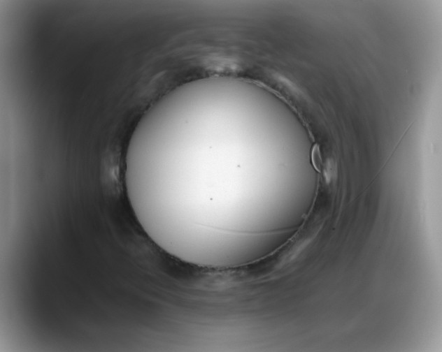 X0000088171396200705291922