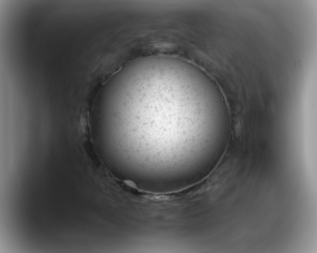 X0000088171397200705291922