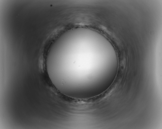 X0000088171398200705291922