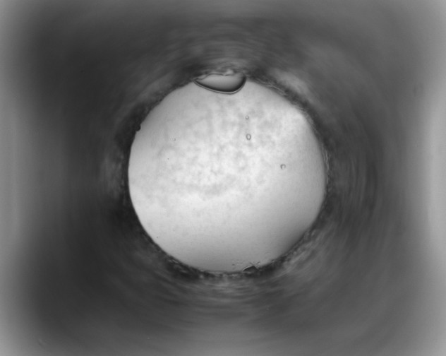 X0000088171399200705291922