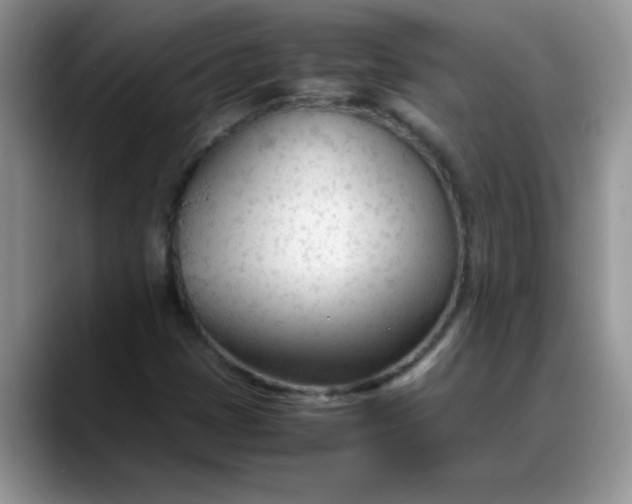 X0000088171401200705291922