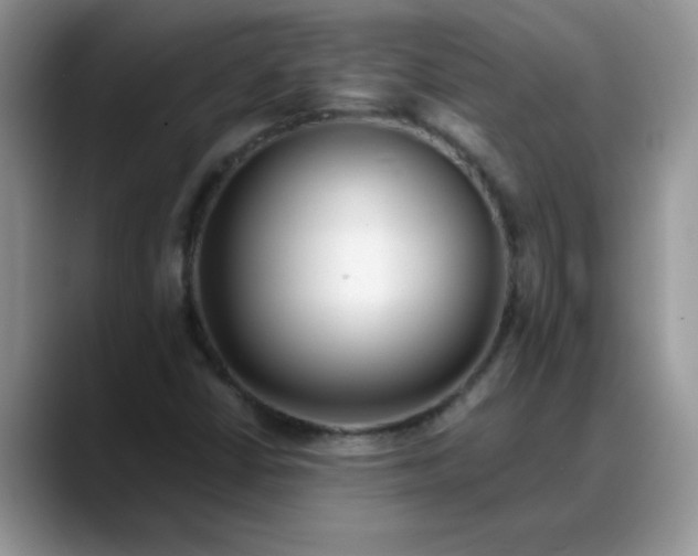 X0000088171402200705291922