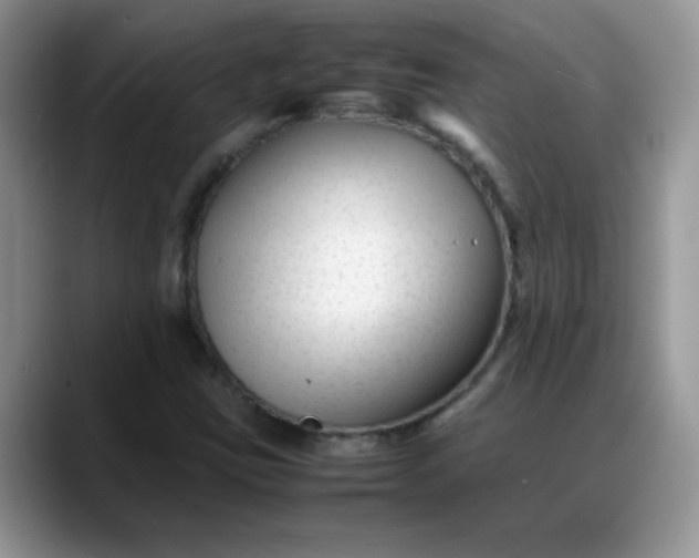 X0000088171403200705291922