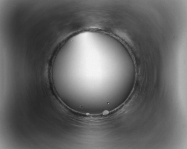 X0000088171404200705291922